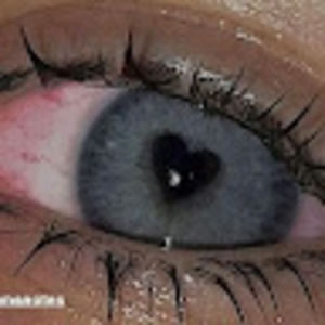 Meet your Posher, Aly